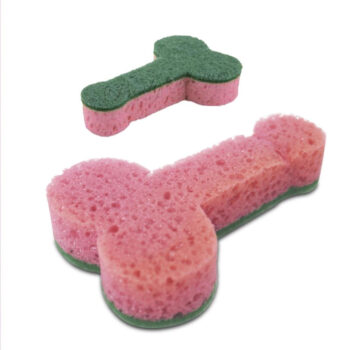 éponge zizi vaisselle double face