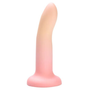 Gode silicone dégradé pastel doux ventouse débutant anal vaginal